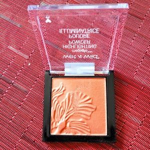 WetnWild Highlighting Powder nwot